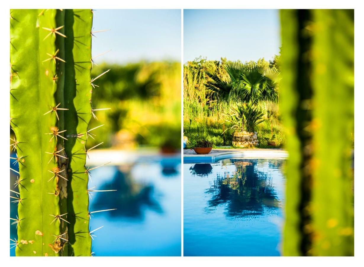 Villa Swan Lefkáda Dış mekan fotoğraf