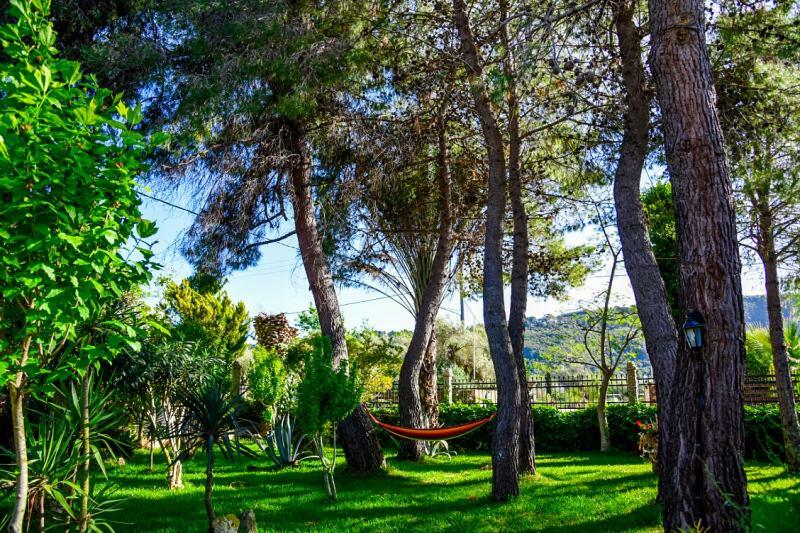 Villa Swan Lefkáda Dış mekan fotoğraf